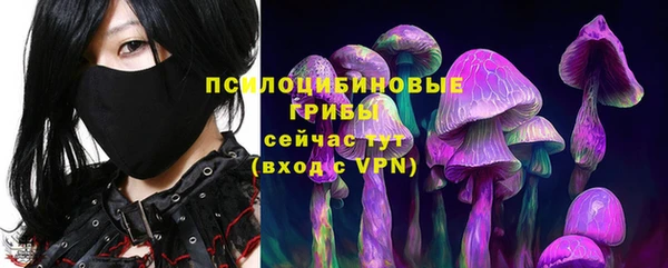 дурь Алзамай