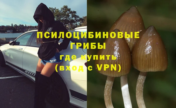 дурь Алзамай