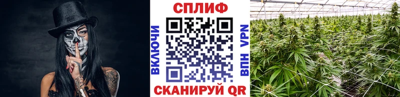 Шишки марихуана THC 21%  Нальчик 